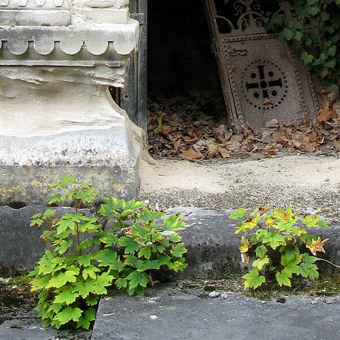 Photo de Cimetière de la Madeleine