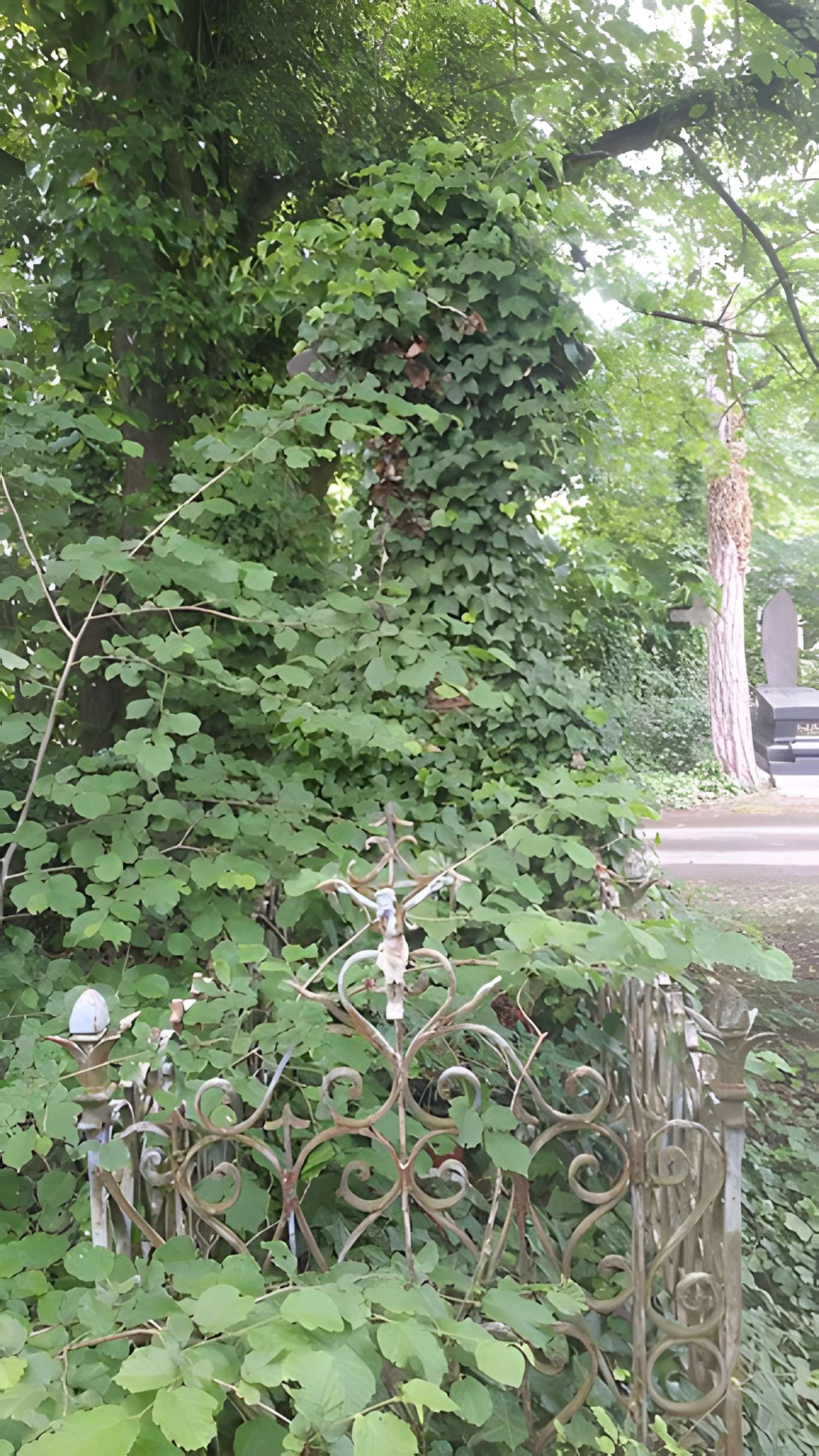 Cimetière de la Madeleine