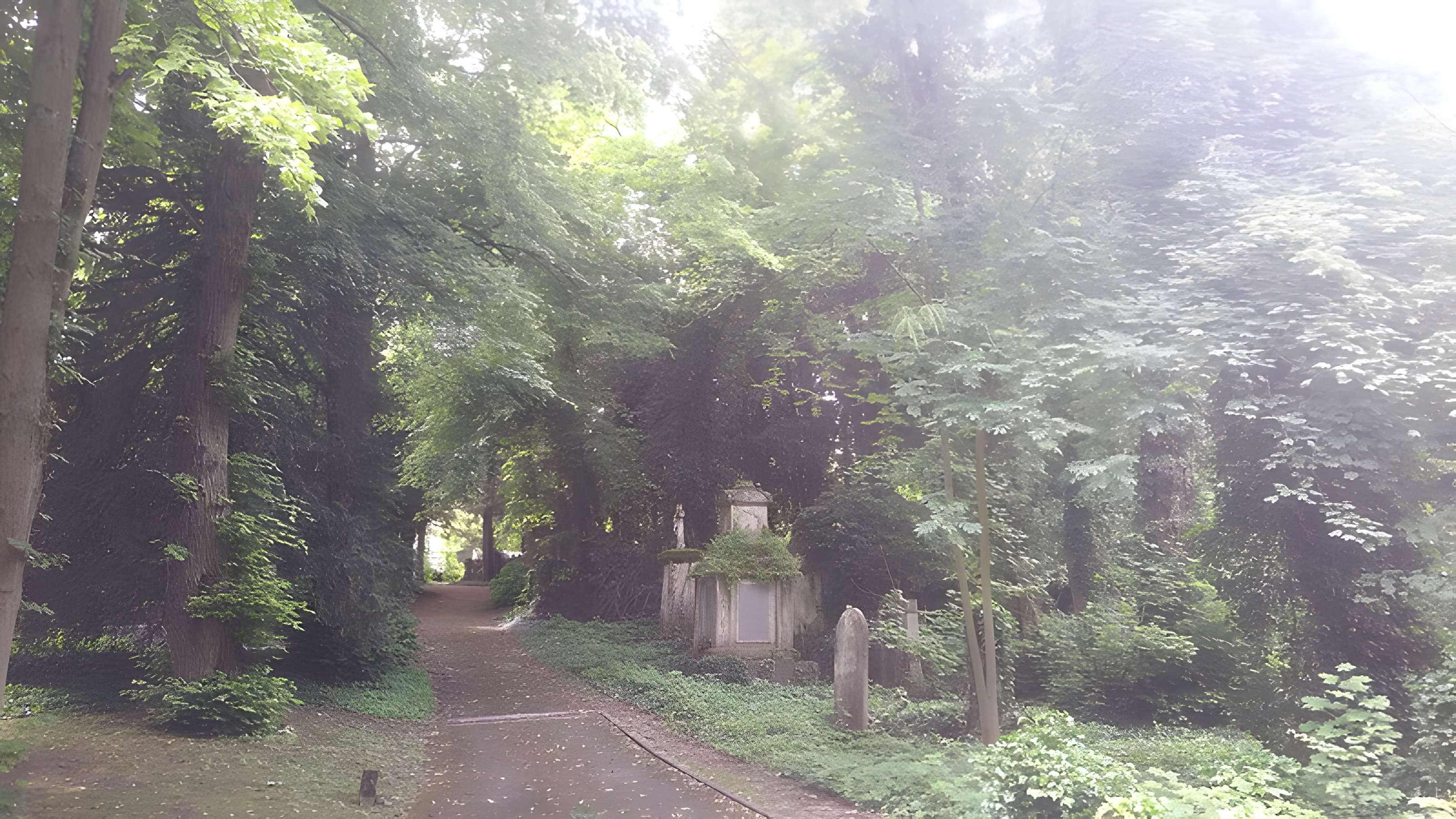 Cimetière de la Madeleine