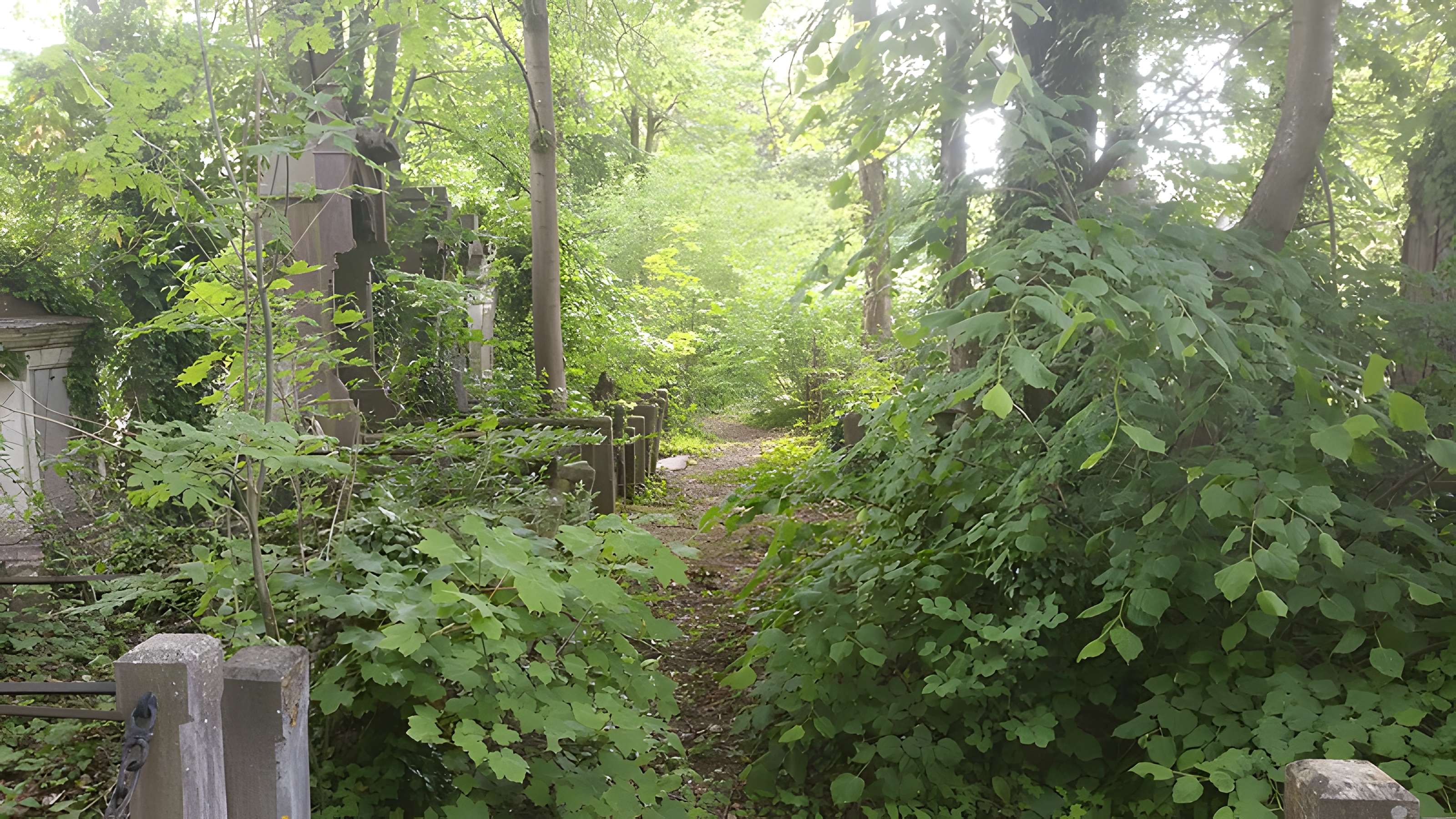 Cimetière de la Madeleine