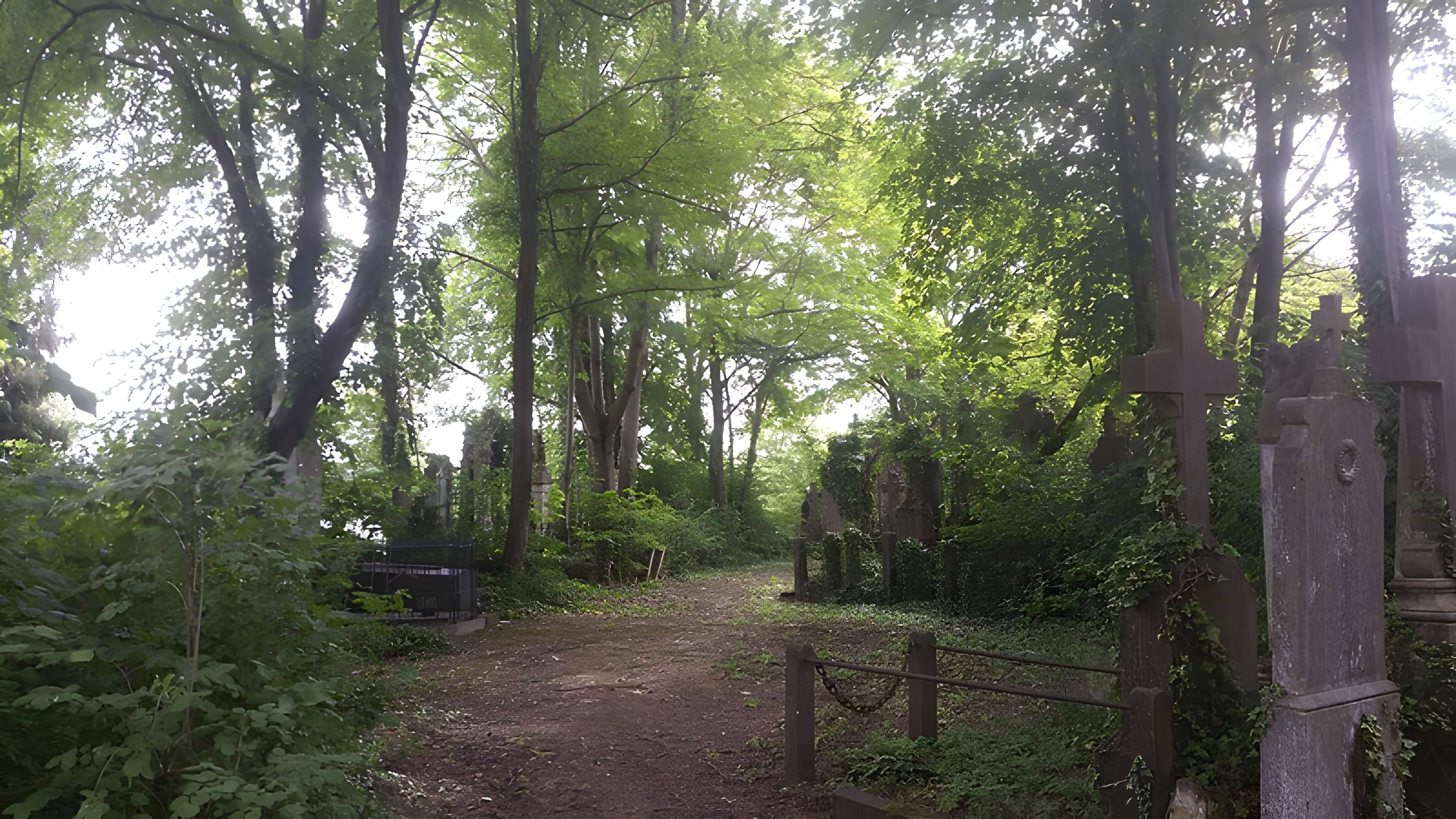 Cimetière de la Madeleine