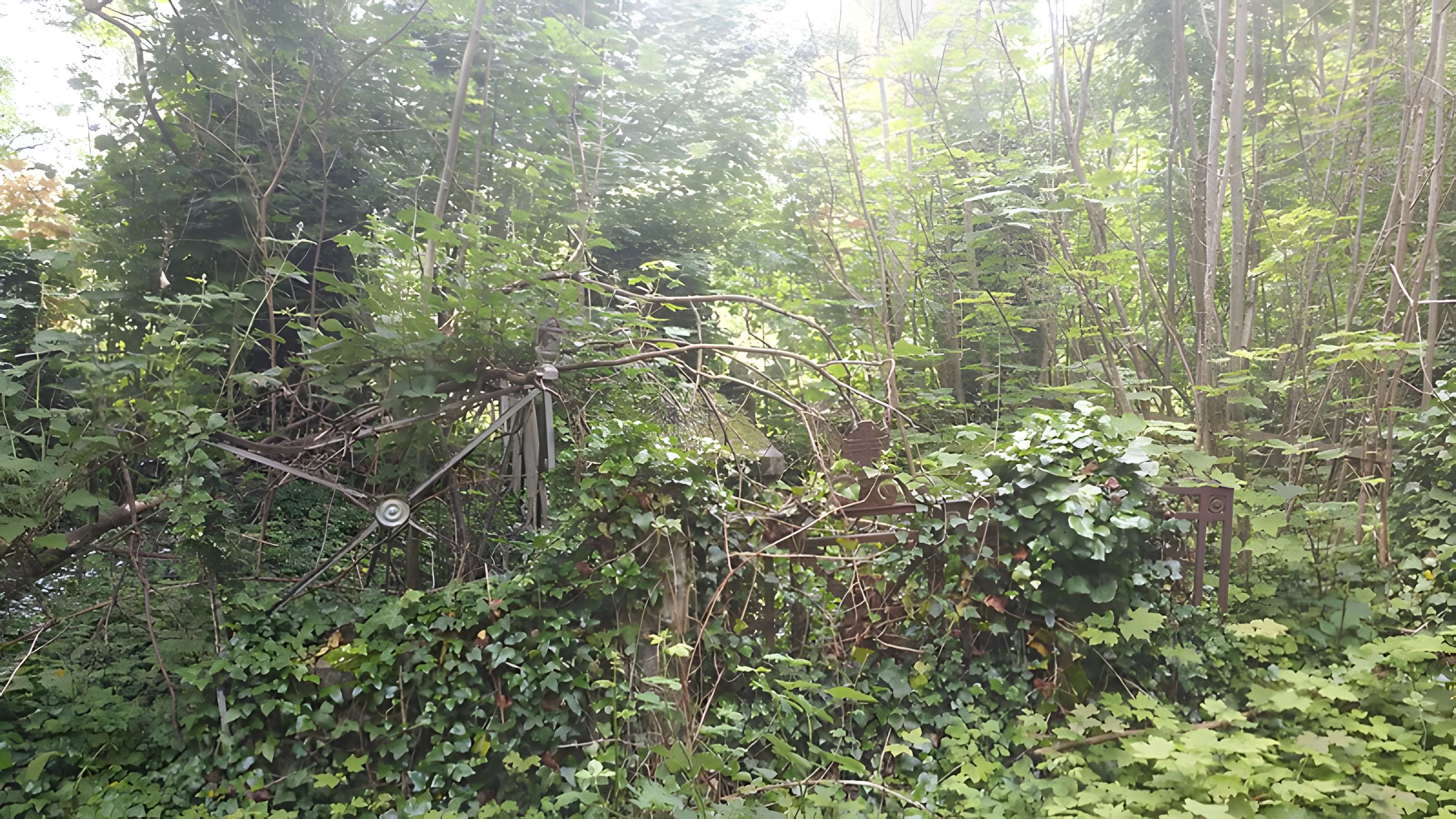 Cimetière de la Madeleine