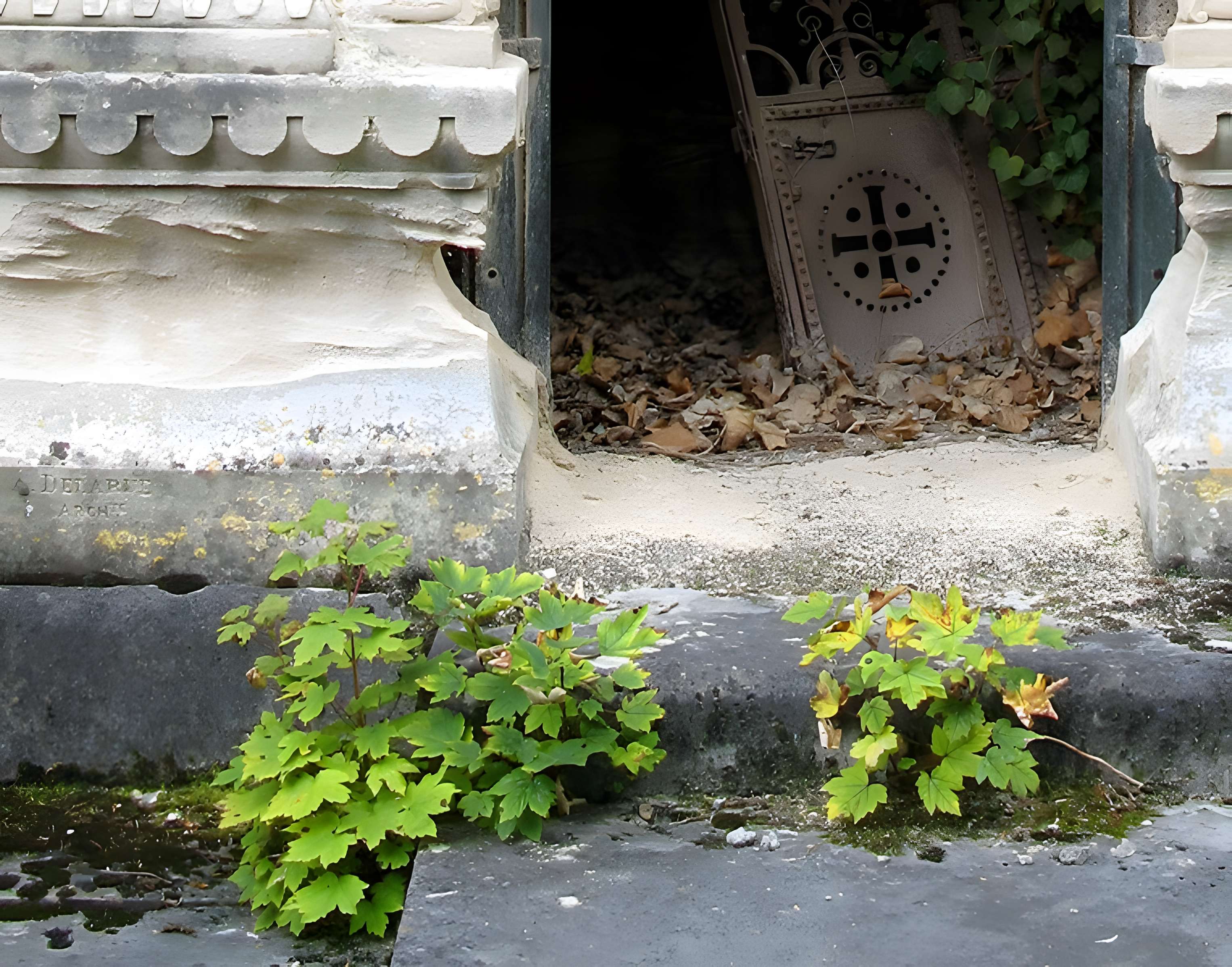 Cimetière de la Madeleine