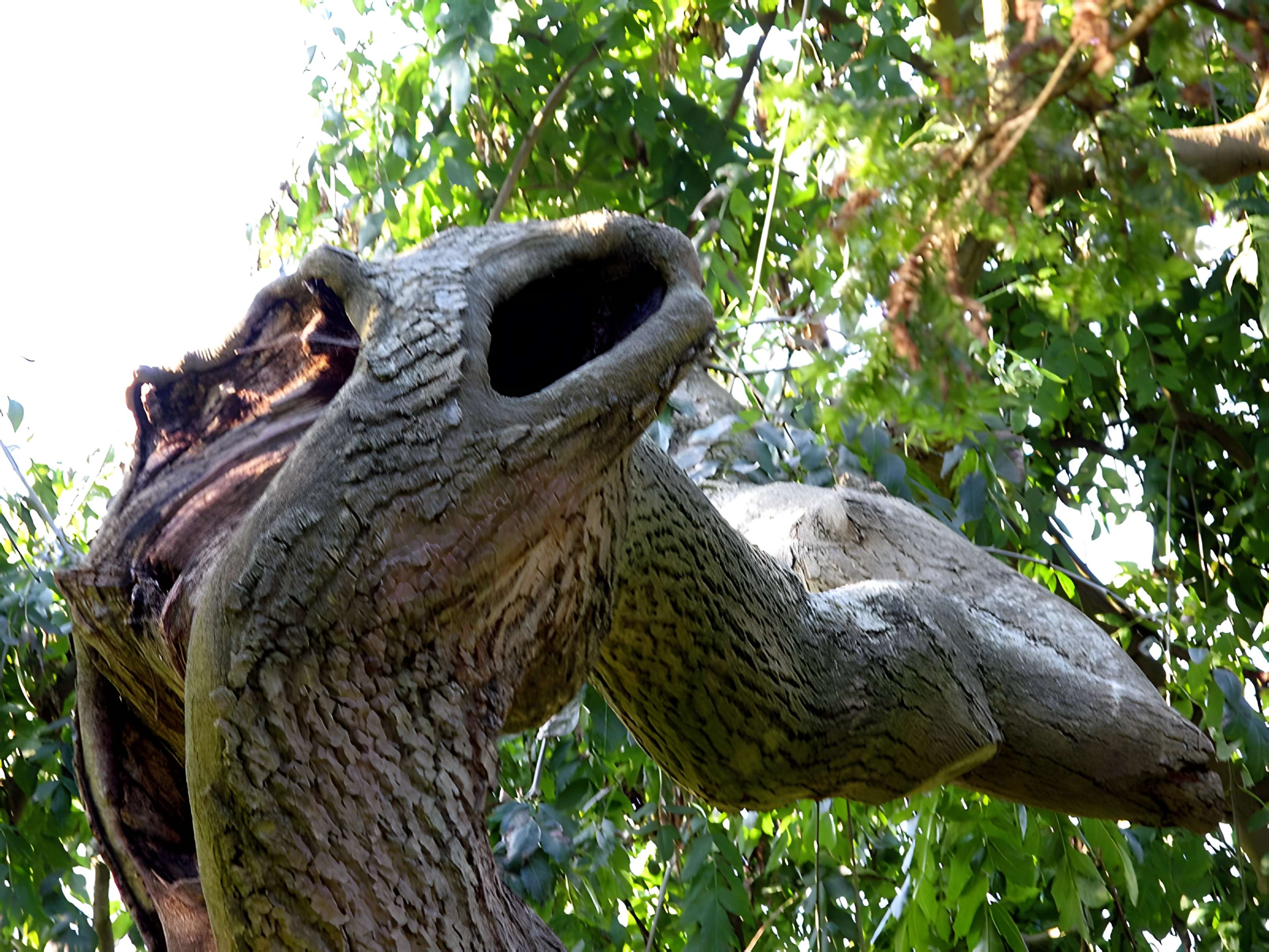 Cimetière de la Madeleine