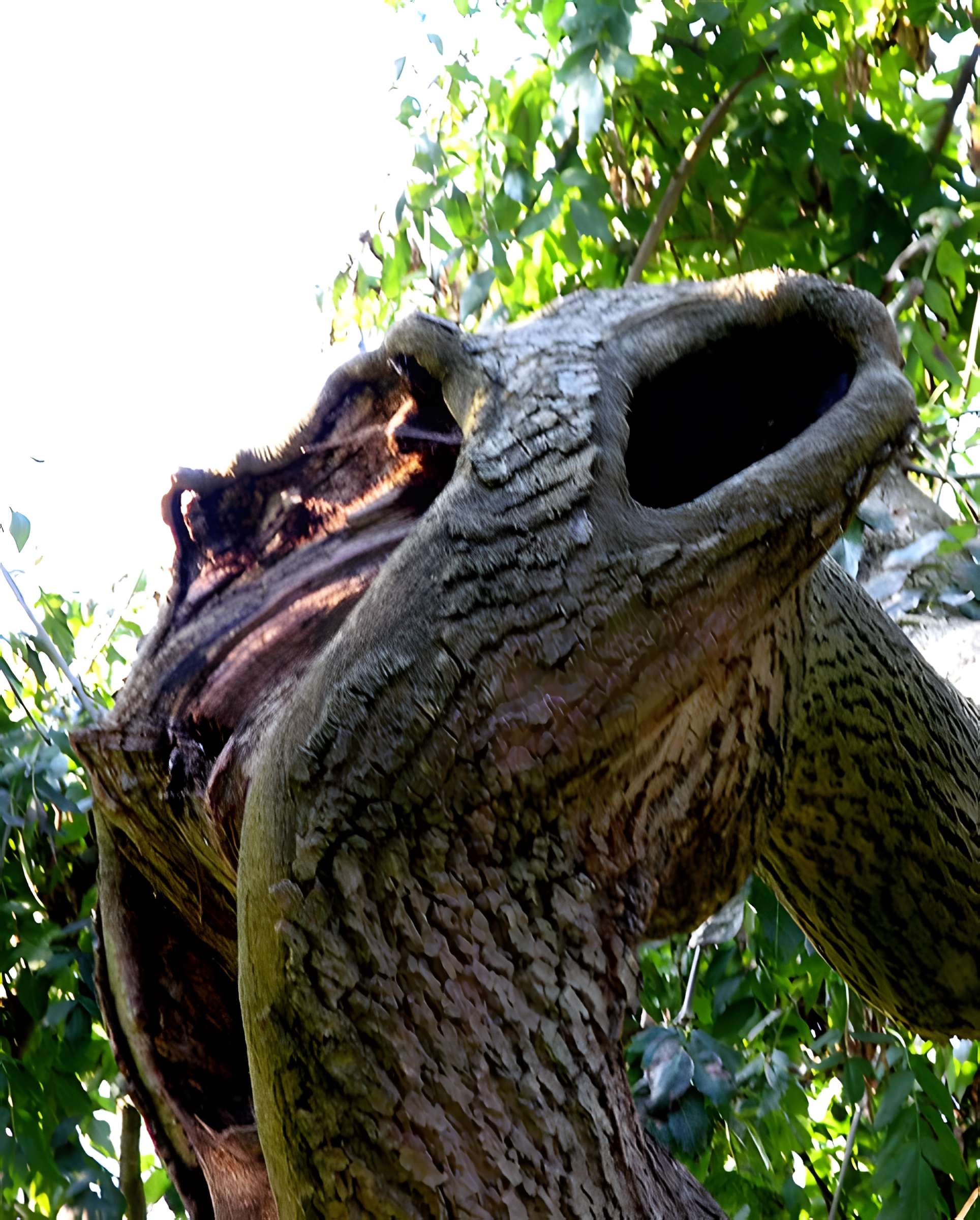 Cimetière de la Madeleine