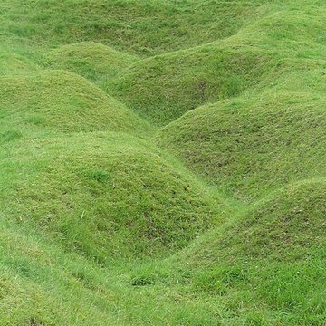 Mémorial terre-neuvien et parc commémoratif