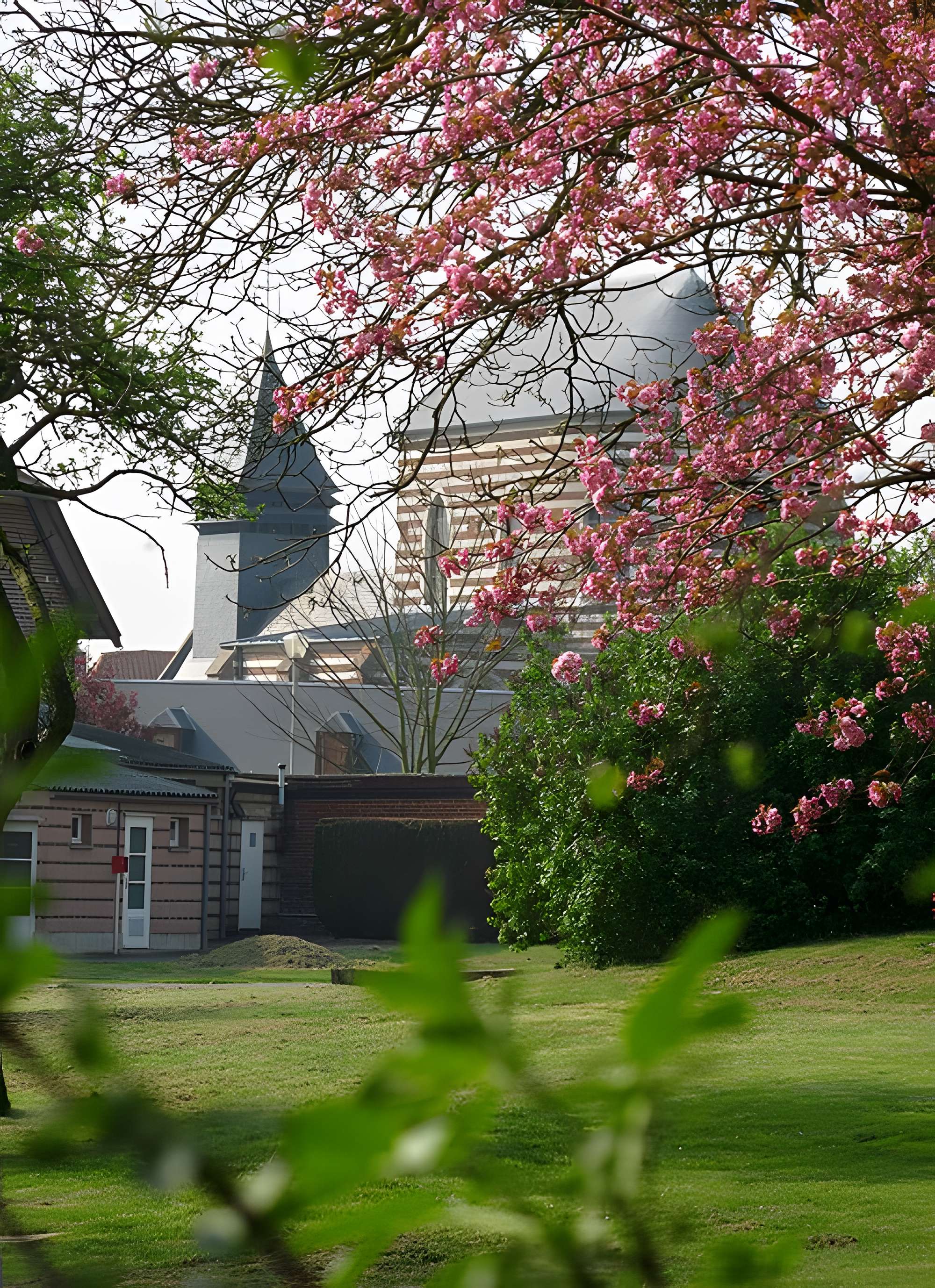 Eglise Saint-Vincent