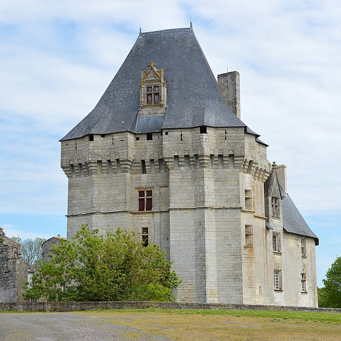 Photo de Château de Cherveux