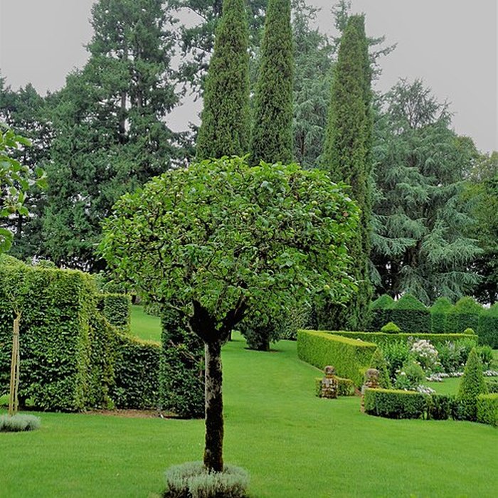 Photo de Manoir dEyrignac et ses Jardins