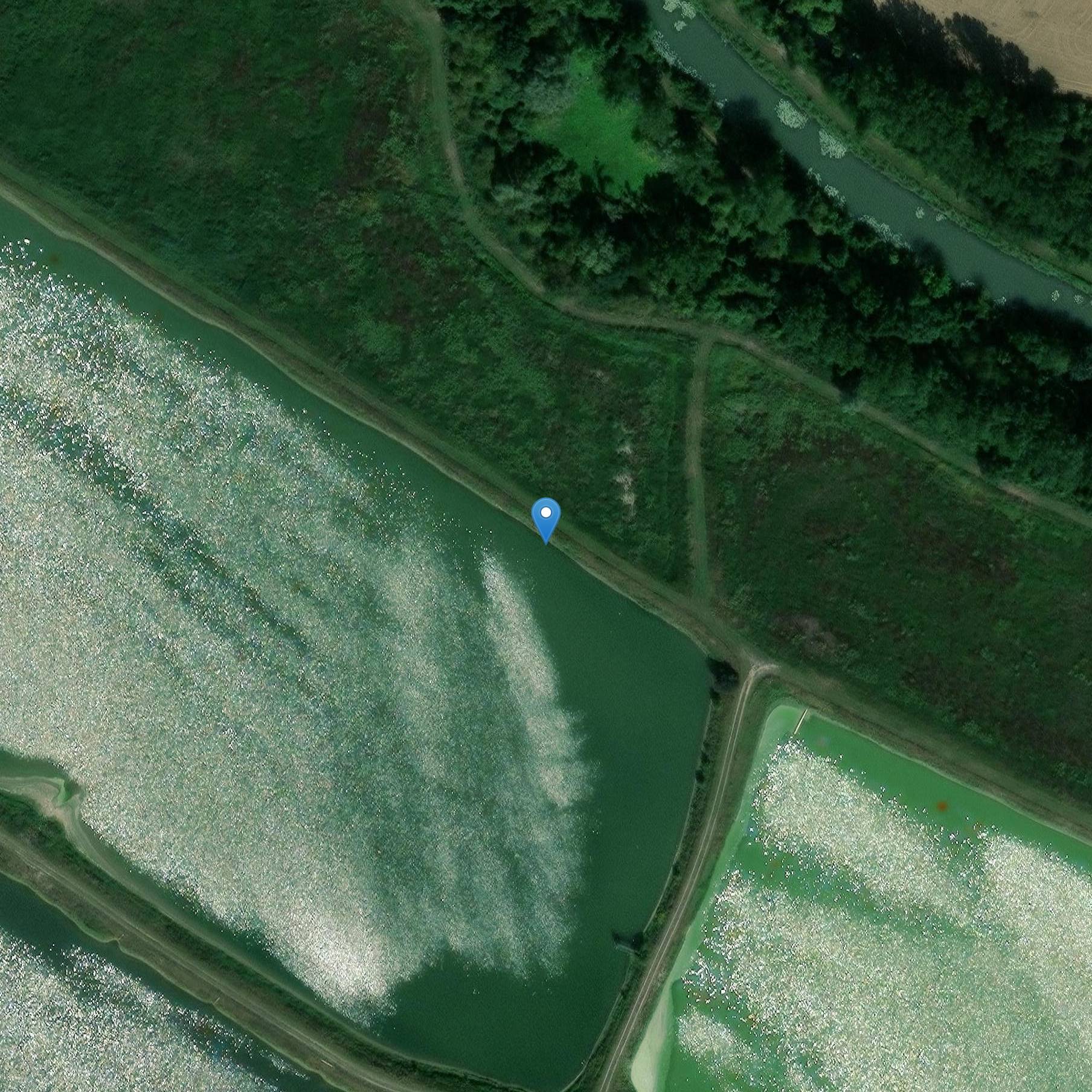 Photo de Menhir dice La roca que crece