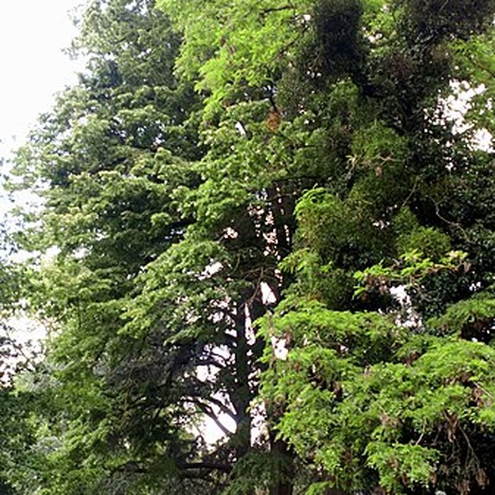 Photo de Sucrerie Saint-Louis