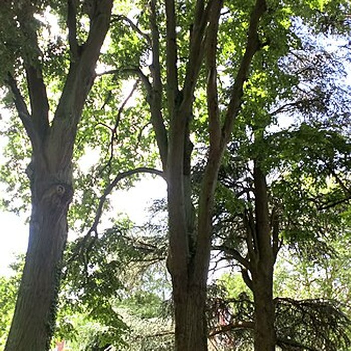 Photo de Sucrerie Saint-Louis