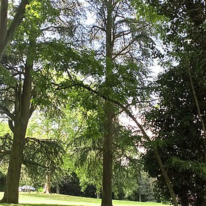 Photo de Sucrerie Saint-Louis