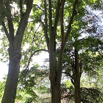 Sucrerie Saint-Louis