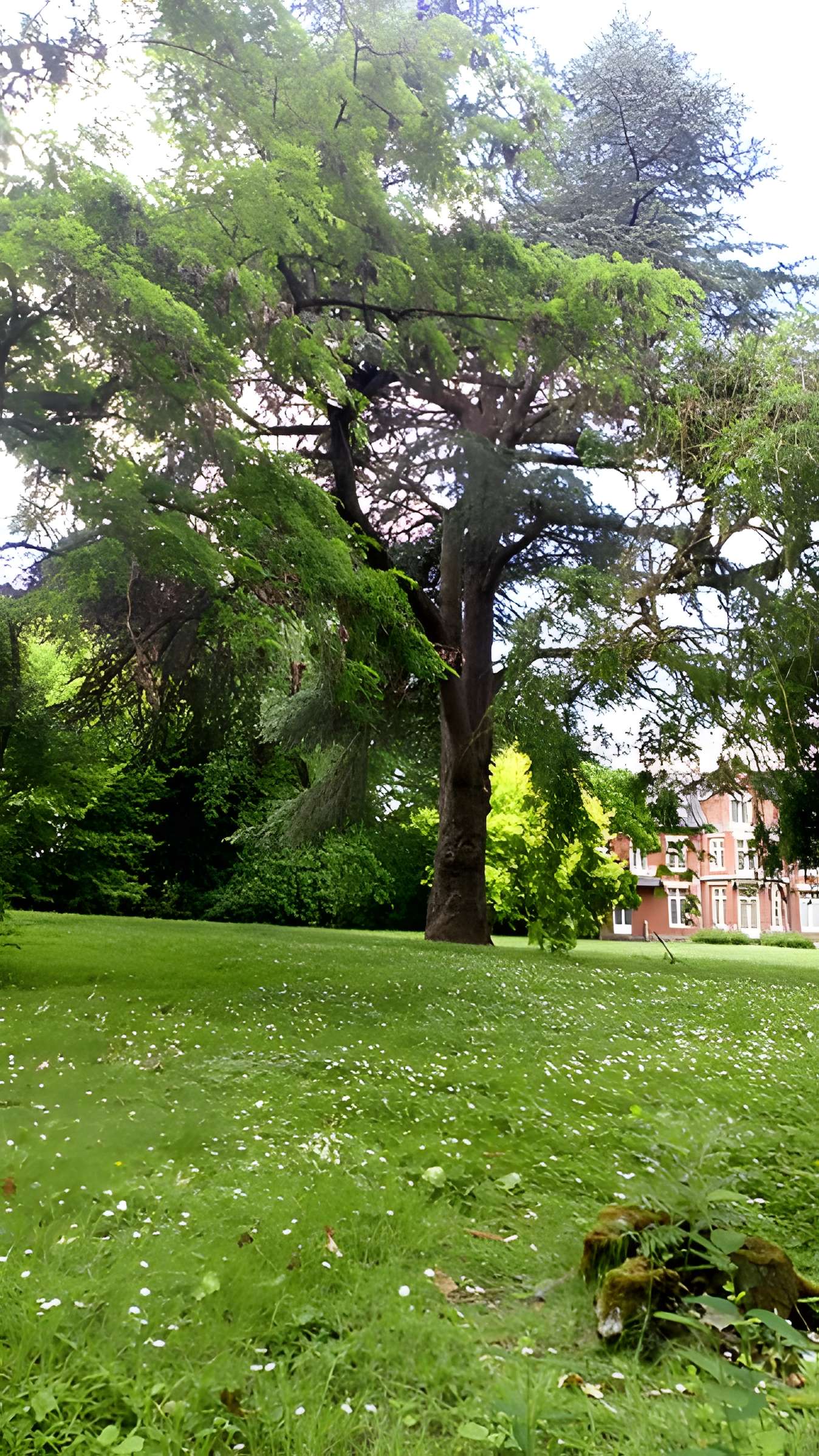 Sucrerie Saint-Louis