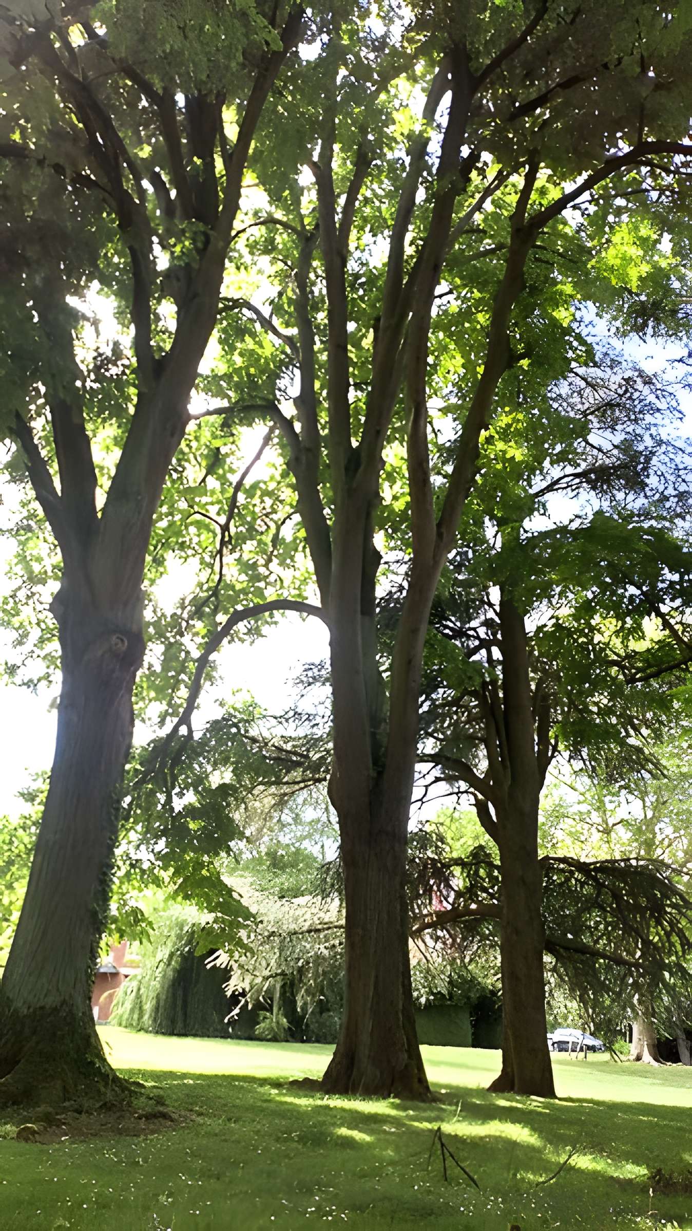 Sucrerie Saint-Louis