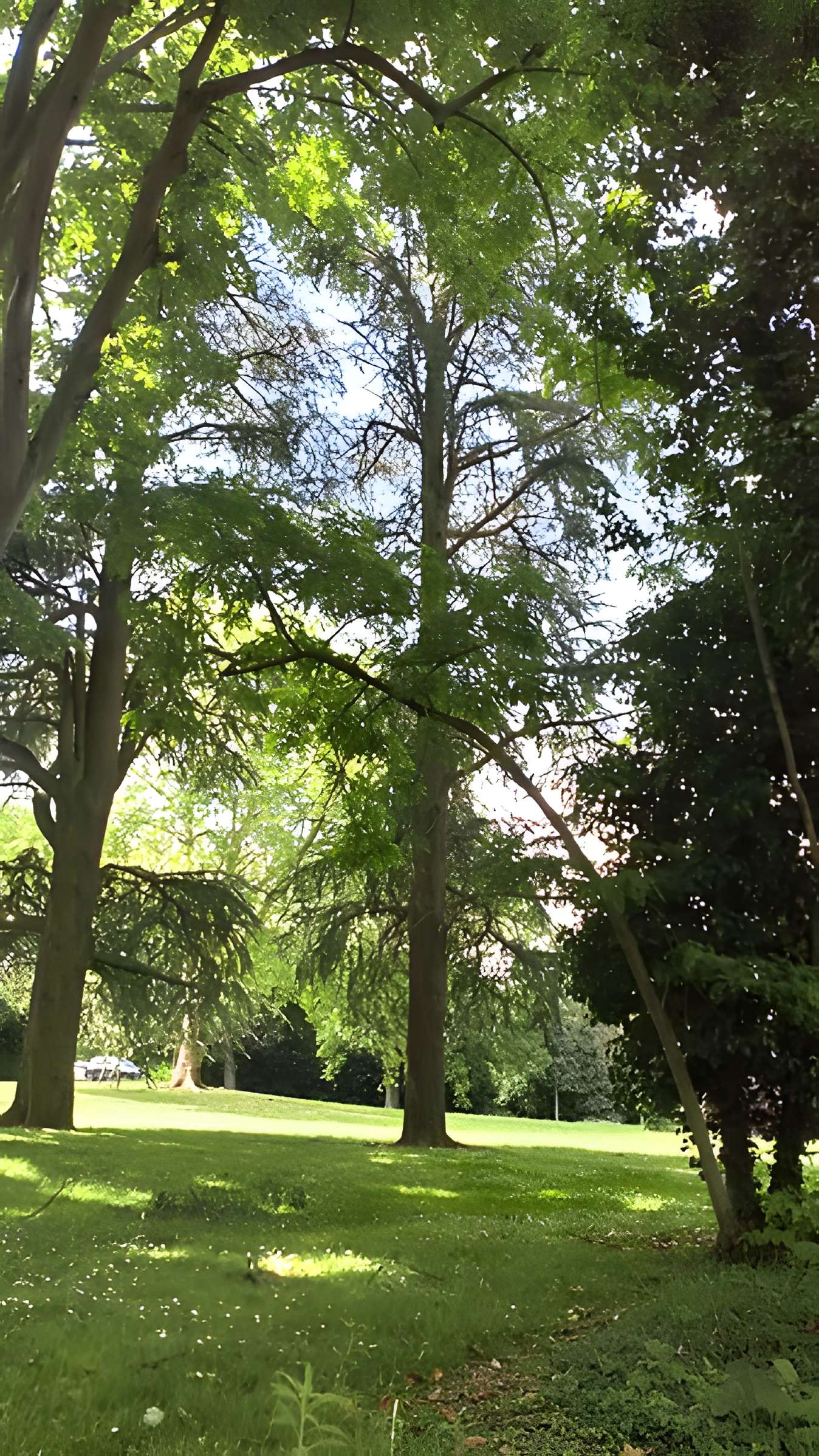 Sucrerie Saint-Louis