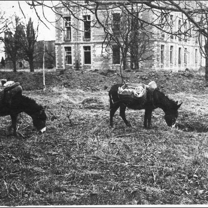 Photo de Domaine de Tilloloy
