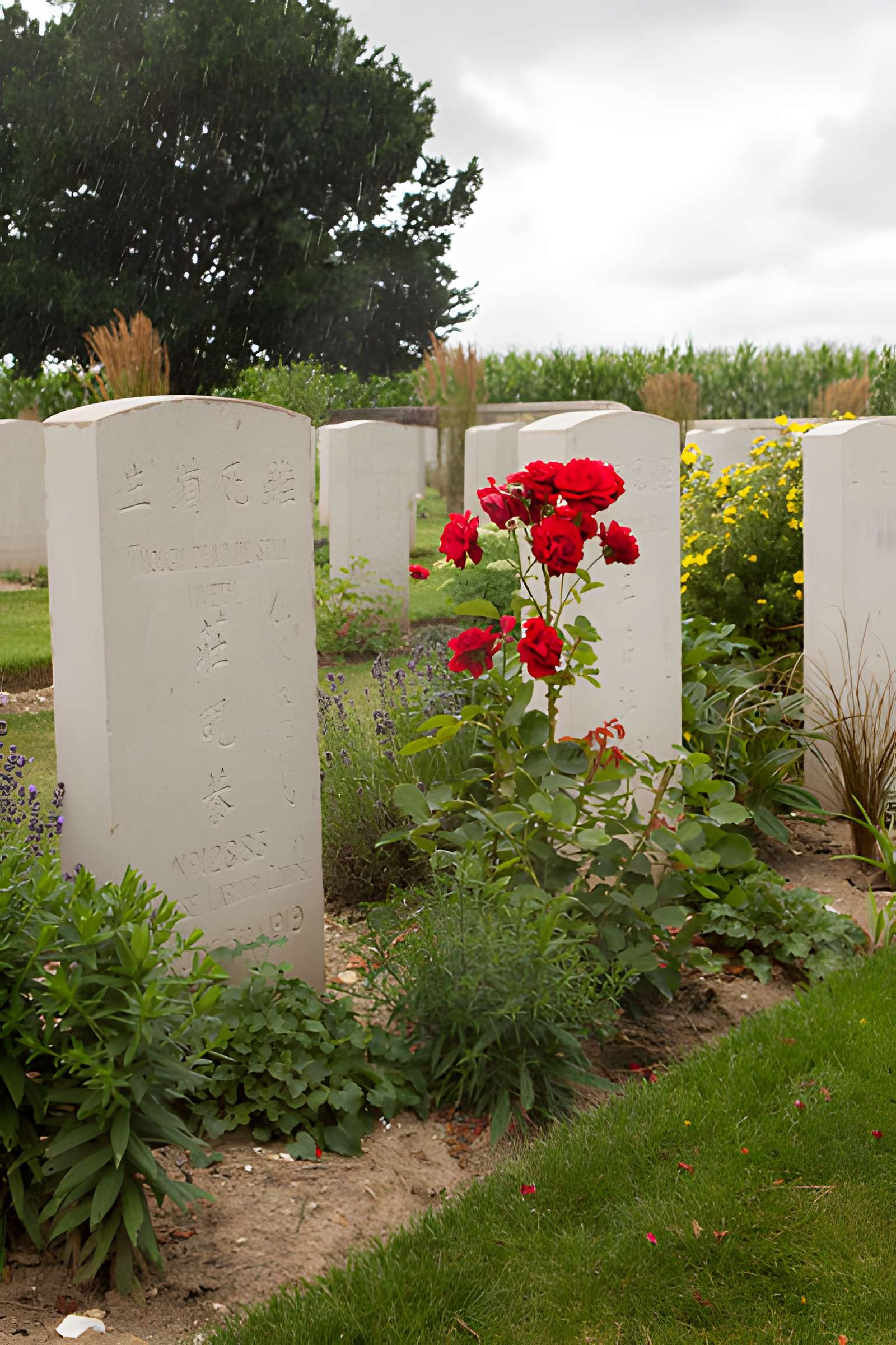 Cimetière chinois de Nolette