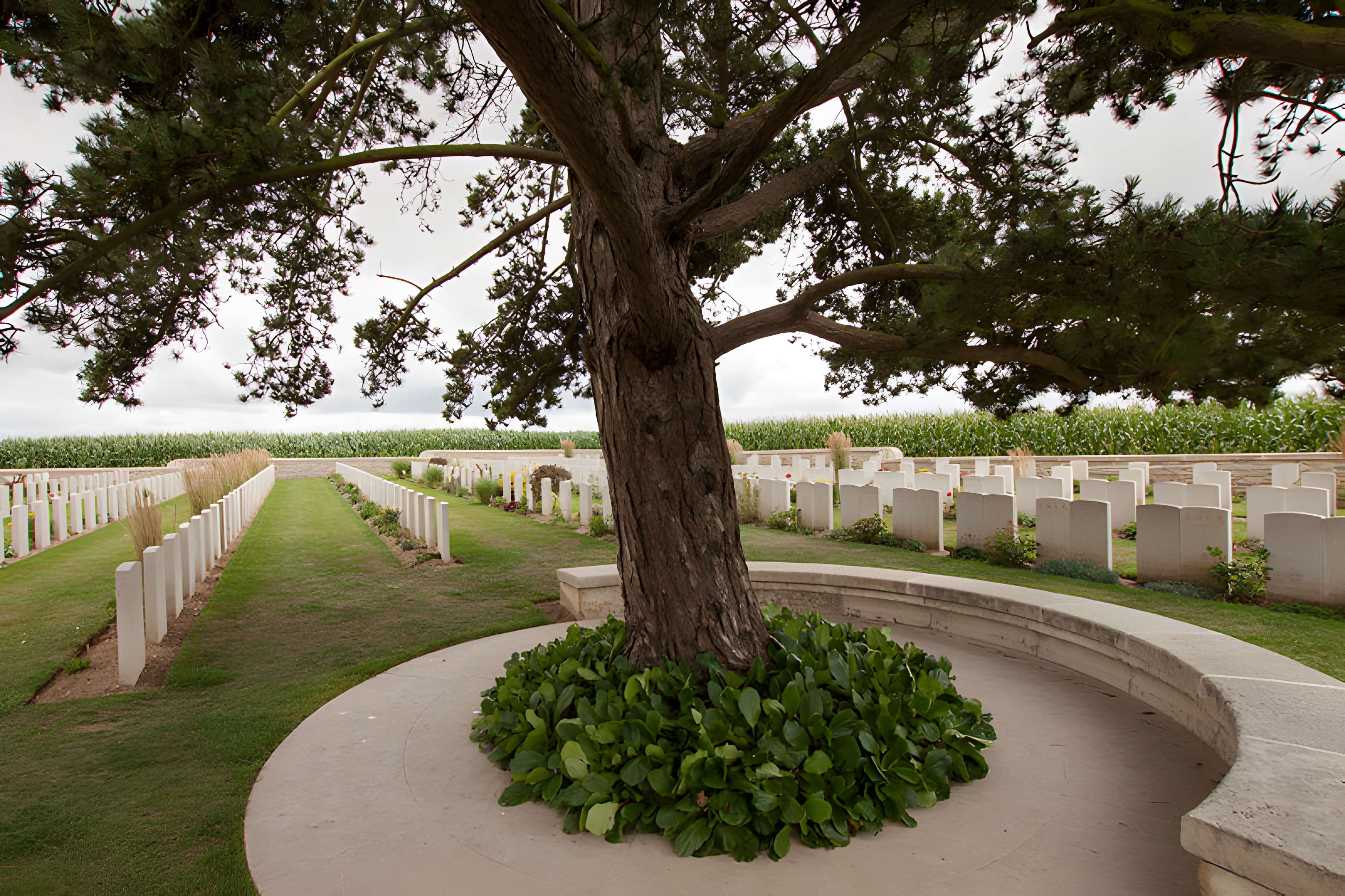 Cimetière chinois de Nolette
