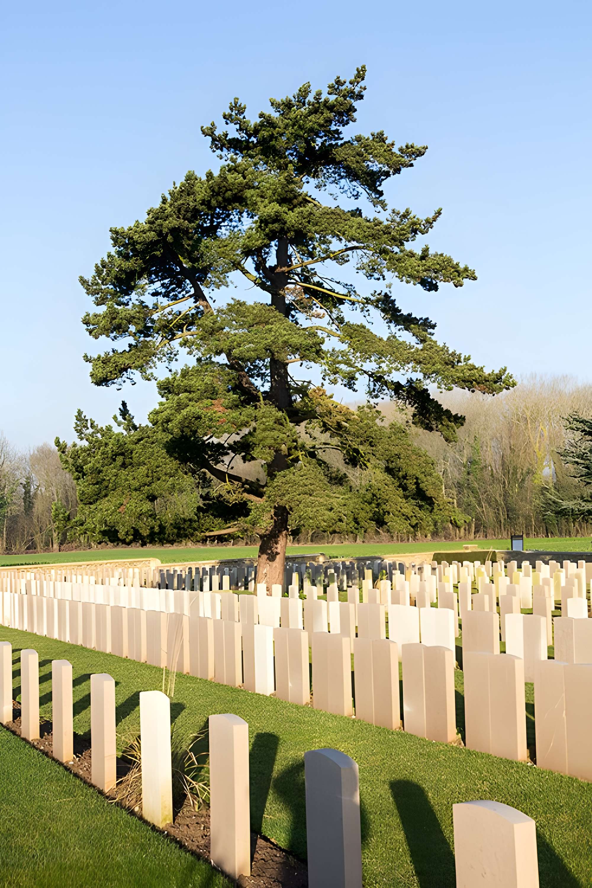 Cimetière chinois de Nolette