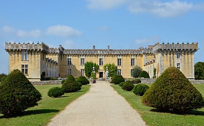 Photo de Château de Chesnel