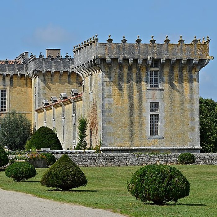 Photo de Château de Chesnel