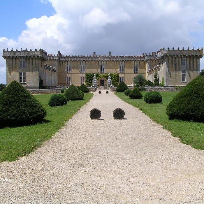 Photo de Château de Chesnel