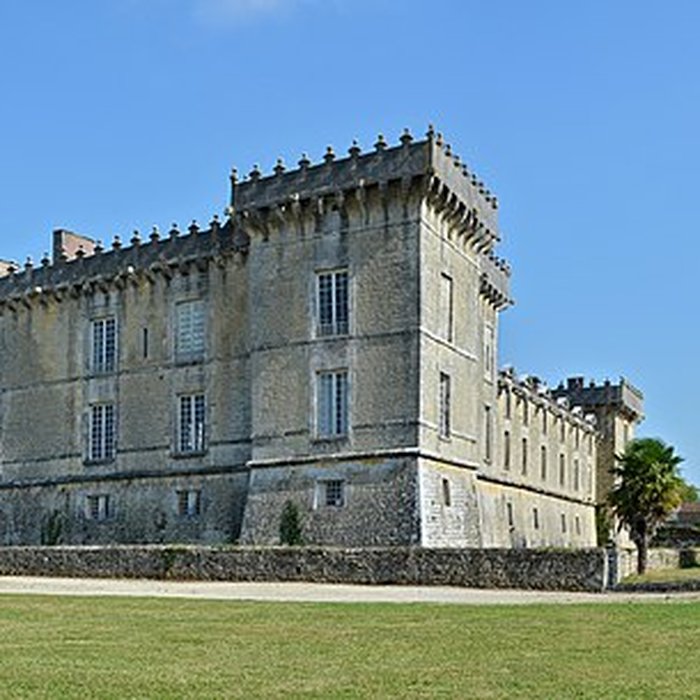 Photo de Château de Chesnel