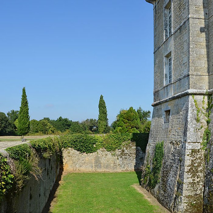 Photo de Château de Chesnel