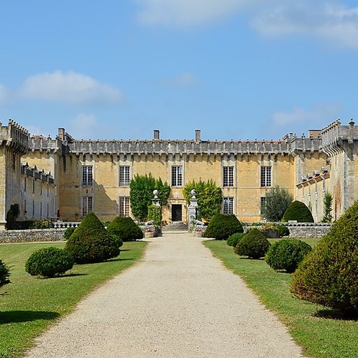 Photo de Château de Chesnel