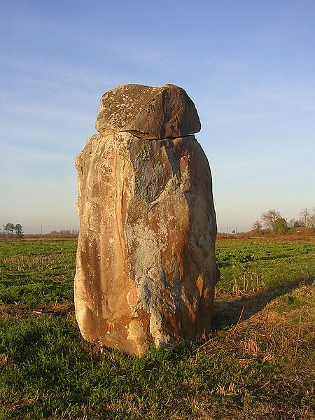 Photo de Mégalithe de Guillay à Larrivière-Saint-Savin