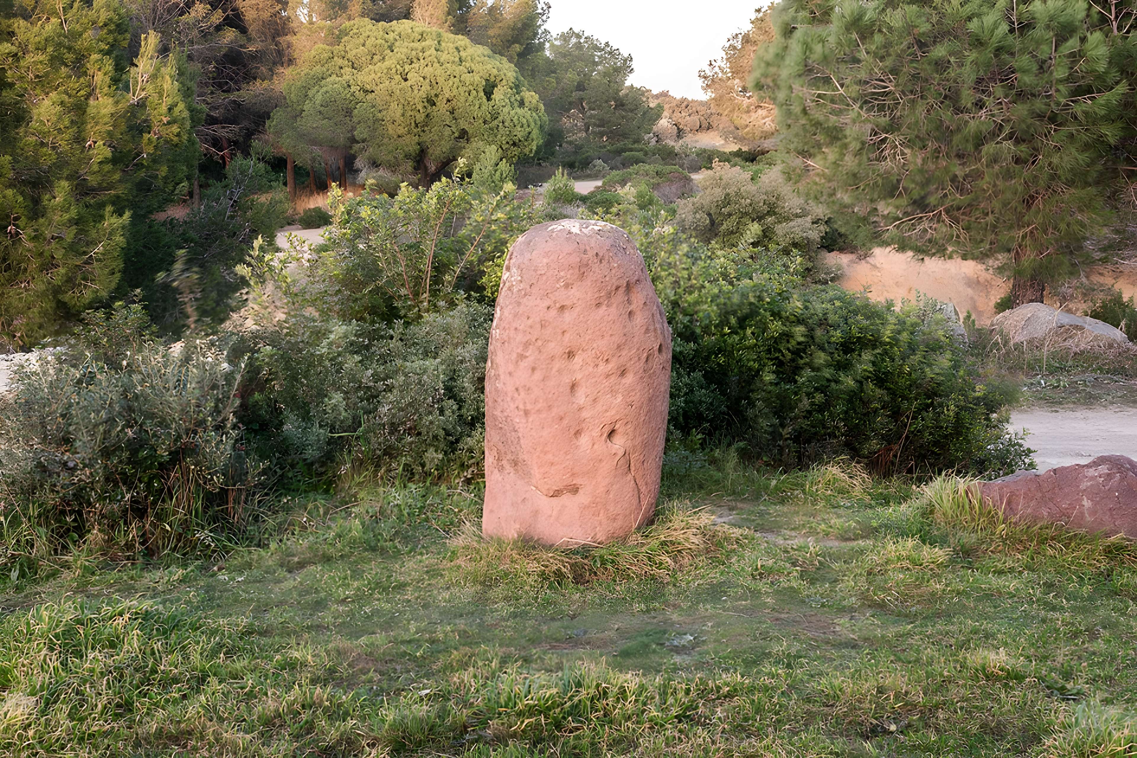 Menhir d'Aire-Peyronne de Saint-Raphaël