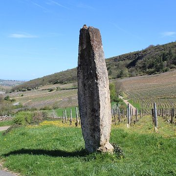 Menhir de Chancerons à Vergisson