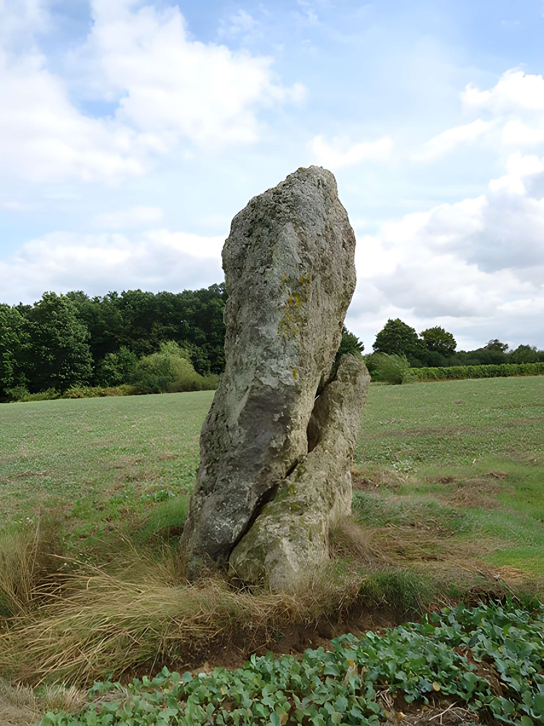 Menhir de Gobianne à Chahaignes