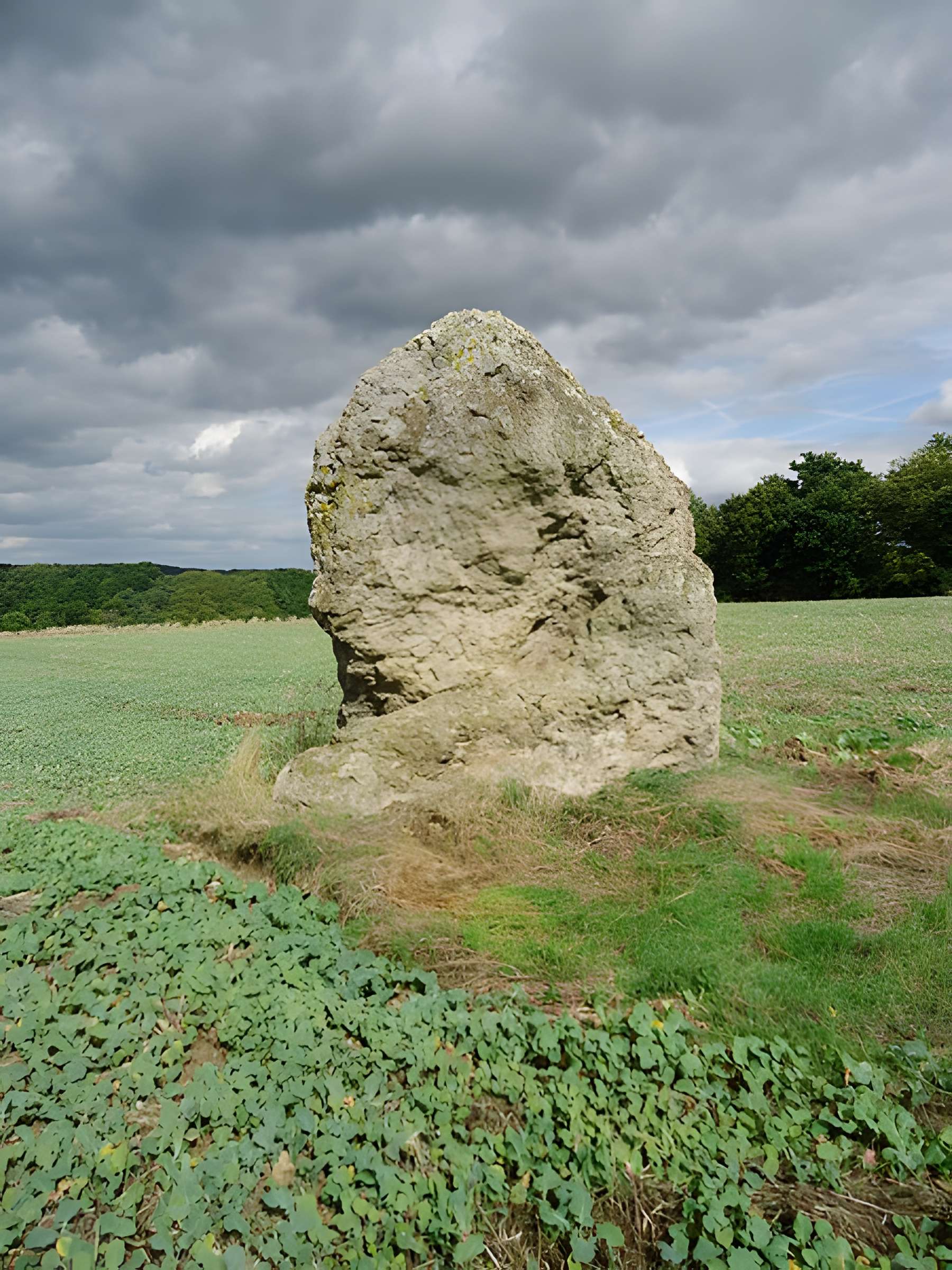 Menhir de Gobianne à Chahaignes