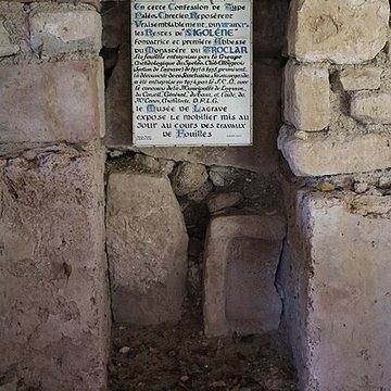 Site archéologique de Sainte-Sigolène