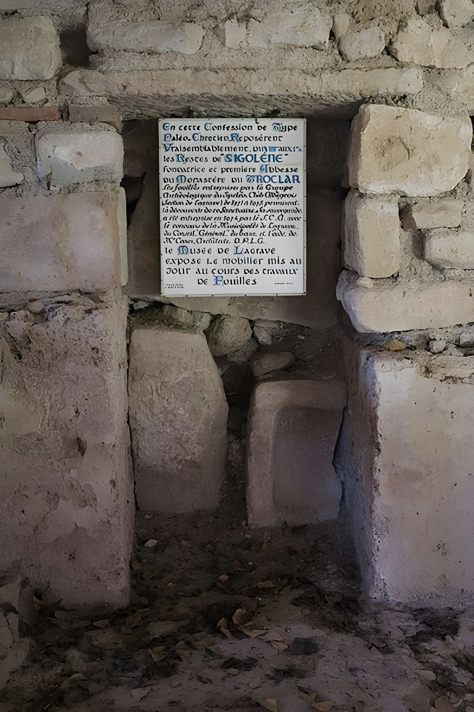 Site archéologique de Sainte-Sigolène