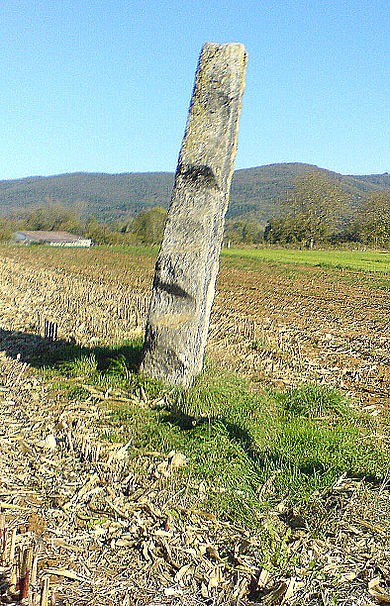 Photo de Menhir de Pierrefiche à Simandre-sur-Suran