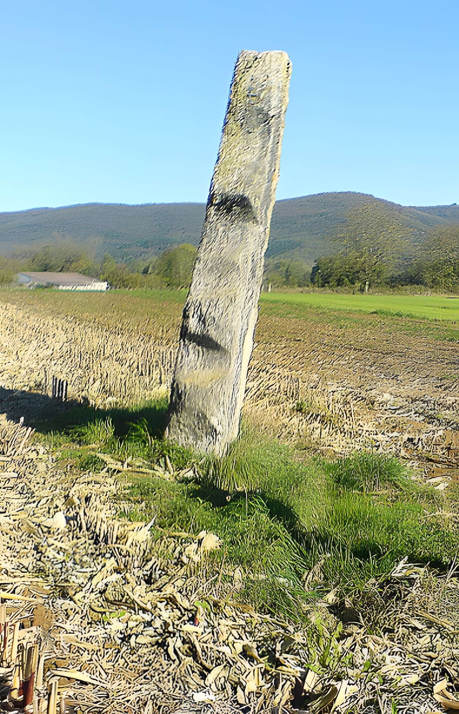 Menhir de Pierrefiche à Simandre-sur-Suran 