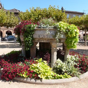 Fontaine du Griffoul