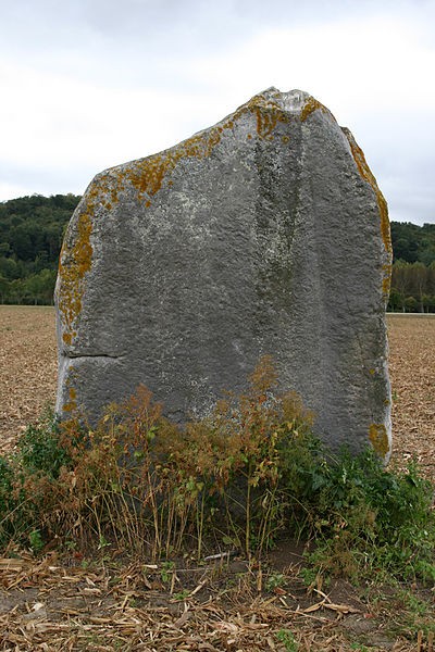 Photo de Menhir Demoiselle de Rhuis