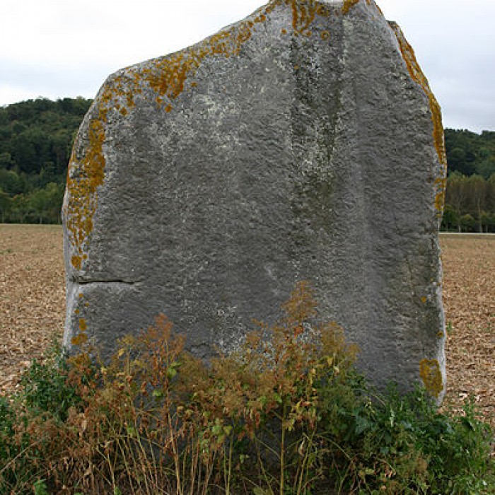 Photo de Menhir dénommé Demoiselle de Rhuis