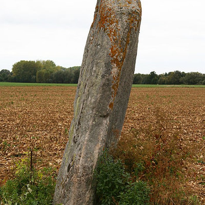 Photo de Menhir dénommé Demoiselle de Rhuis