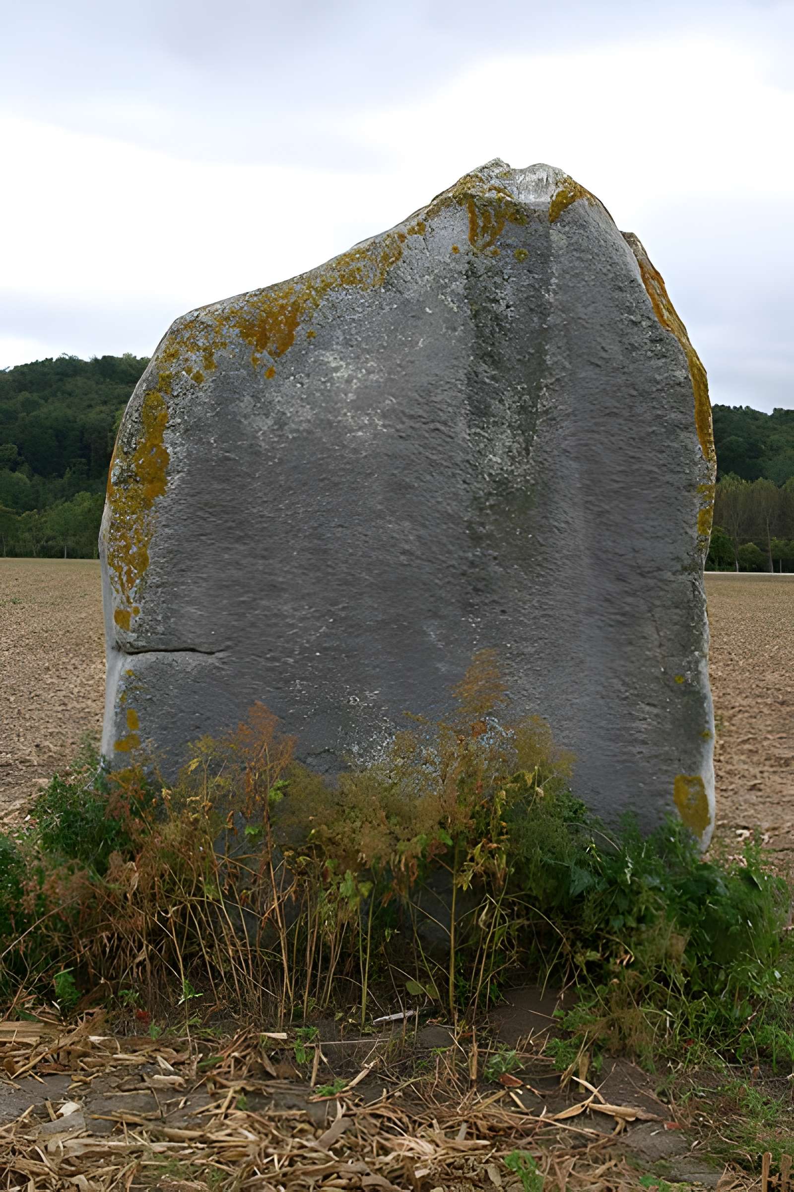 Menhir Demoiselle de Rhuis 