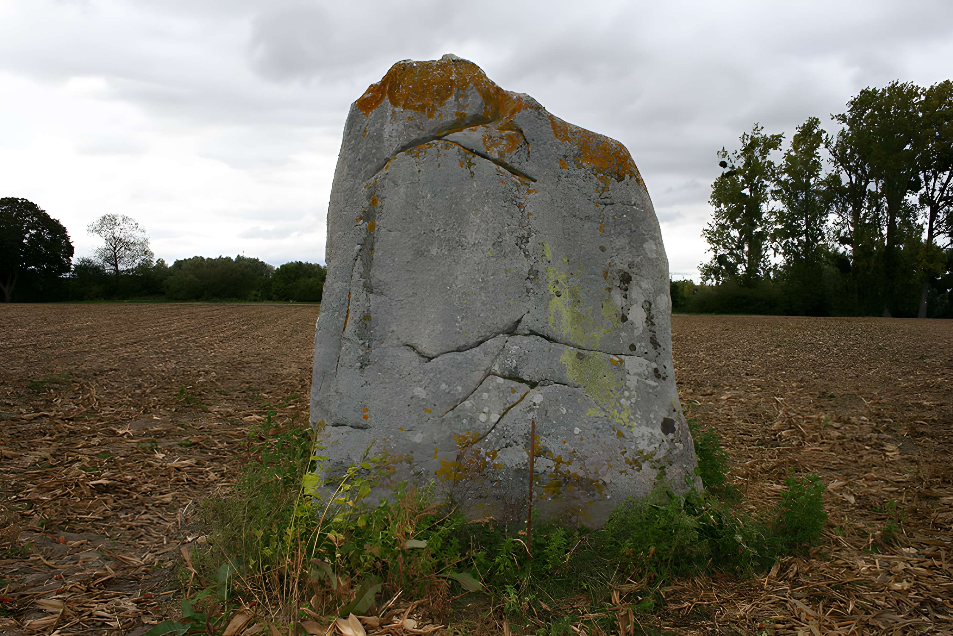 Menhir dénommé Demoiselle de Rhuis