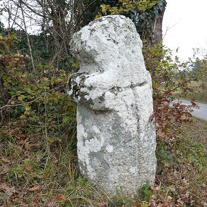 Photo de Menhir dénommé la Croix de Salvetat