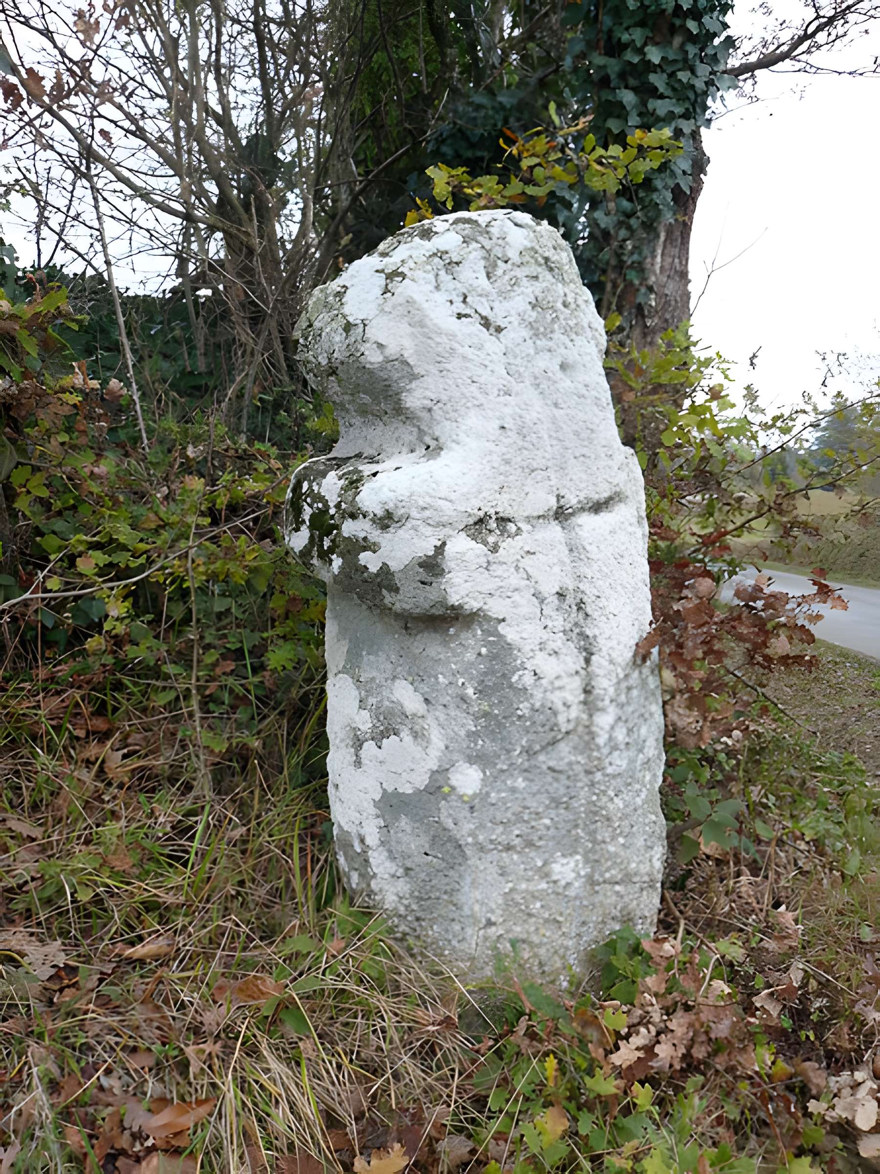 Menhir dénommé la Croix de Salvetat
