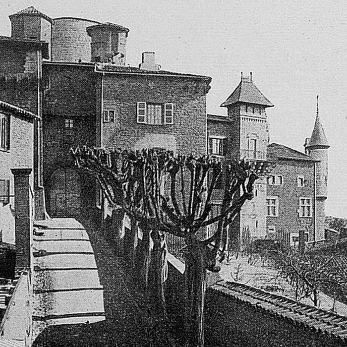 Photo de Château de Chessy