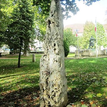 Menhirs du Châtillonnais de Châtillon-sur-Seine